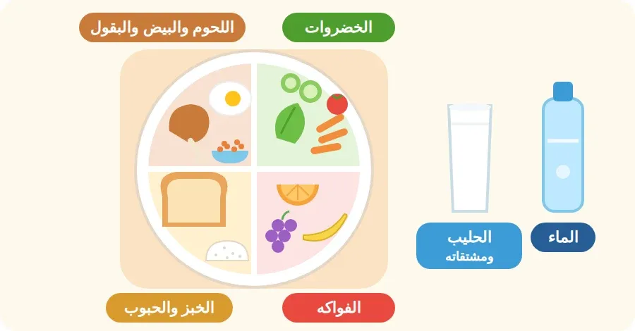 طبق صحي مقسّم إلى مجموعات الغذاء: الخضروات، الفواكه، الخبز والحبوب، اللحوم والبيض والبقول، ومعه كوب حليب