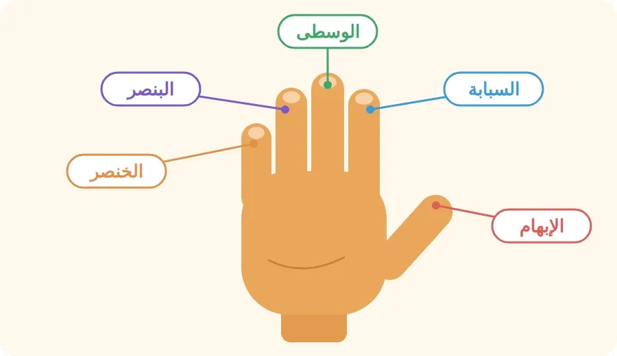 أسماء أصابع اليد: الإبهام، السبابة، الوسطى، البنصر، الخنصر