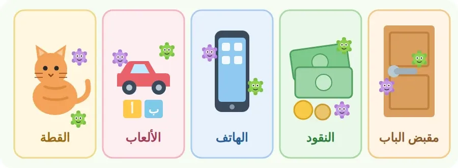 أشياء نلمسها كل يوم وتعلق بها الجراثيم: مقبض الباب، النقود، الهاتف، الألعاب، القطة