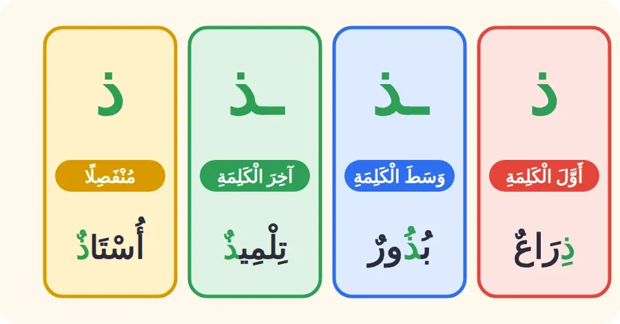 أشكال حرف الذال: ذ في أول الكلمة، ـذ في وسطها وآخرها متصلًا بما قبله، ذ منفصلًا