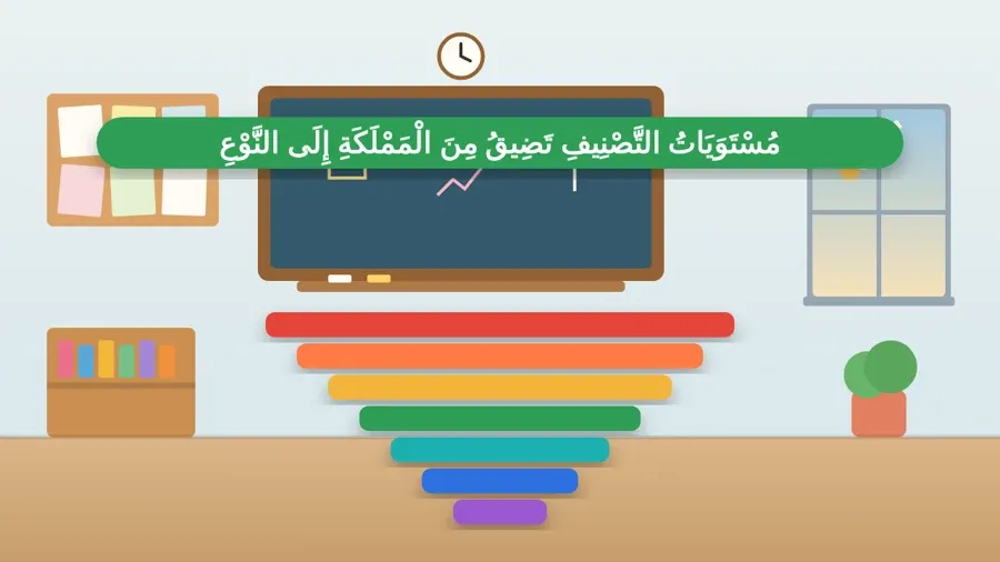 مُسْتَوَيَاتُ التَّصْنِيفِ تَضِيقُ مِنَ الْمَمْلَكَةِ إِلَى النَّوْعِ