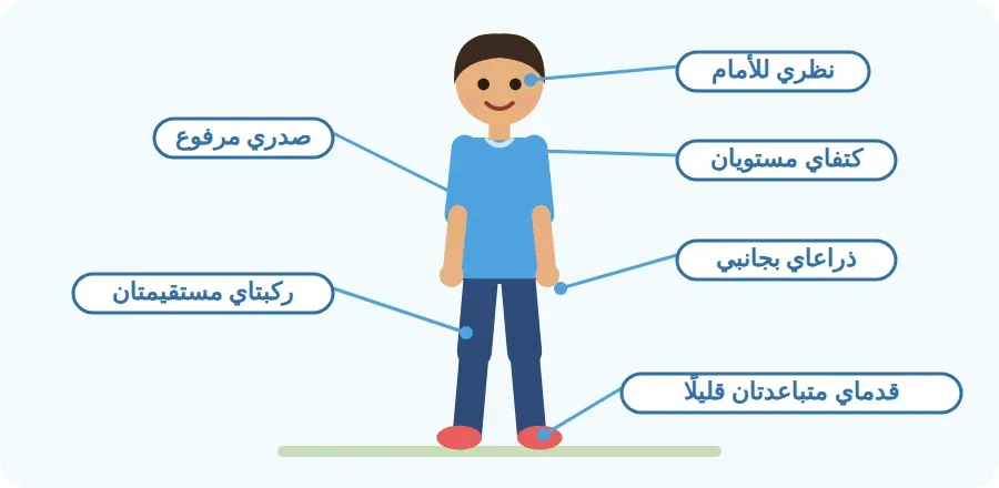 أجزاء الجسم في الوقوف الصحيح: النظر للأمام، الكتفان مستويان، الصدر مرفوع، الذراعان بجانب الجسم، الركبتان مستقيمتان، القدمان متباعدتان قليلًا