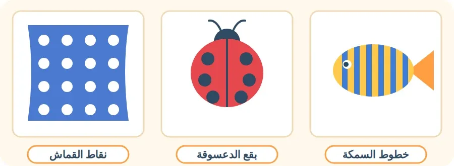 التكرار حولنا: خطوط تتكرر على جسم سمكة، وبقع تتكرر على ظهر دعسوقة، ونقاط تتكرر على قماش